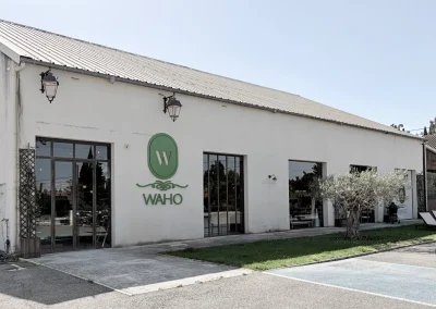 WAHO